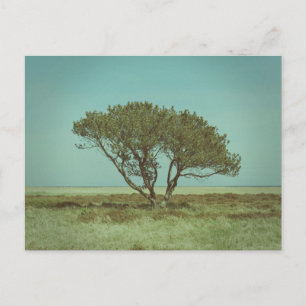 Elegante bunte Reise-Postkarte mit Baum Feiertagspostkarte