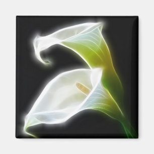 Elegante Calla-Lilien-Blumen 8 modern Magnet