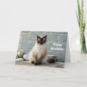 Elégante carte d'anniversaire de chat de Siamese