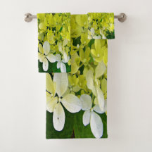 Elegante Chartreuse Green Limelight Hydrangea