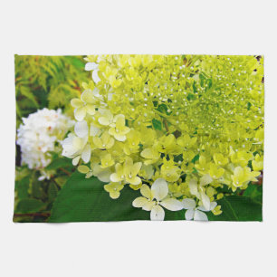 Elegante Chartreuse Green Limelight Hydrangea Geschirrtuch