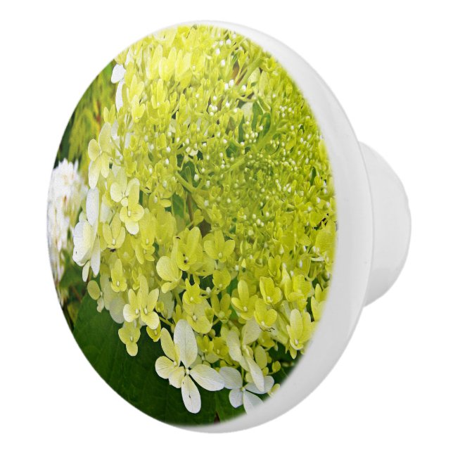 Elegante Chartreuse Green Limelight Hydrangea Keramikknauf (Rechts)