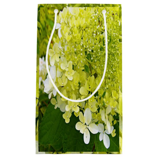 Elegante Chartreuse Green Limelight Hydrangea Kleine Geschenktüte (Vorderseite)
