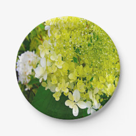 Elegante Chartreuse Green Limelight Hydrangea Pappteller