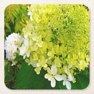Elegante Chartreuse Green Limelight Hydrangea Rechteckiger Pappuntersetzer