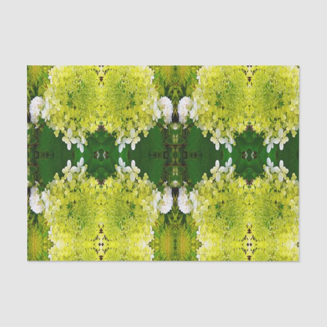 Elegante Chartreuse Green Limelight Hydrangea Seidenpapier (Vorderseite)
