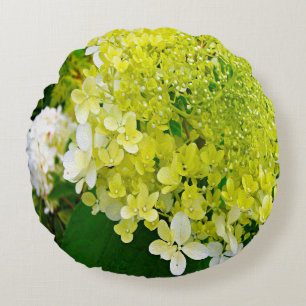 Elegante Chartreuse-Grüne Limelight-Hortensie Rundes Kissen