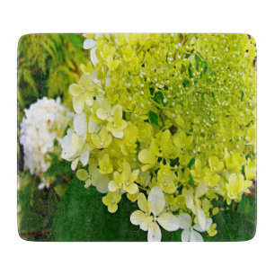 Elegante Chartreuse-Grüne Limelight-Hortensie Schneidebrett