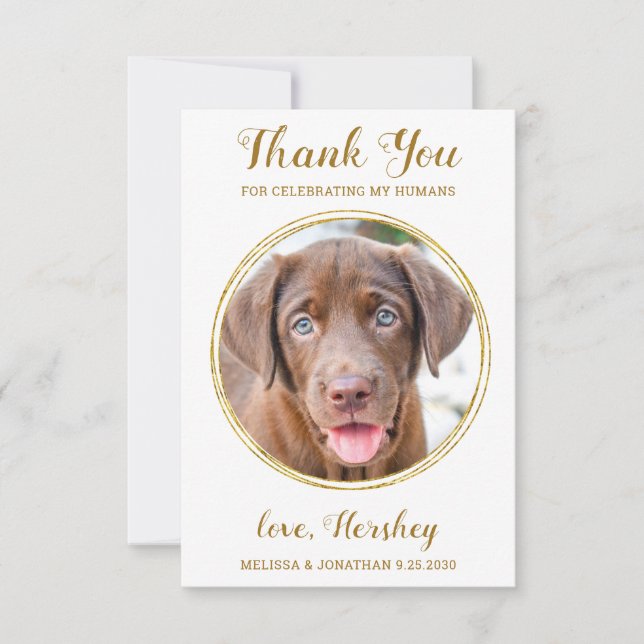 Elegante Chic Gold Custom Dog Foto Haustier Hochze Dankeskarte (Vorderseite)