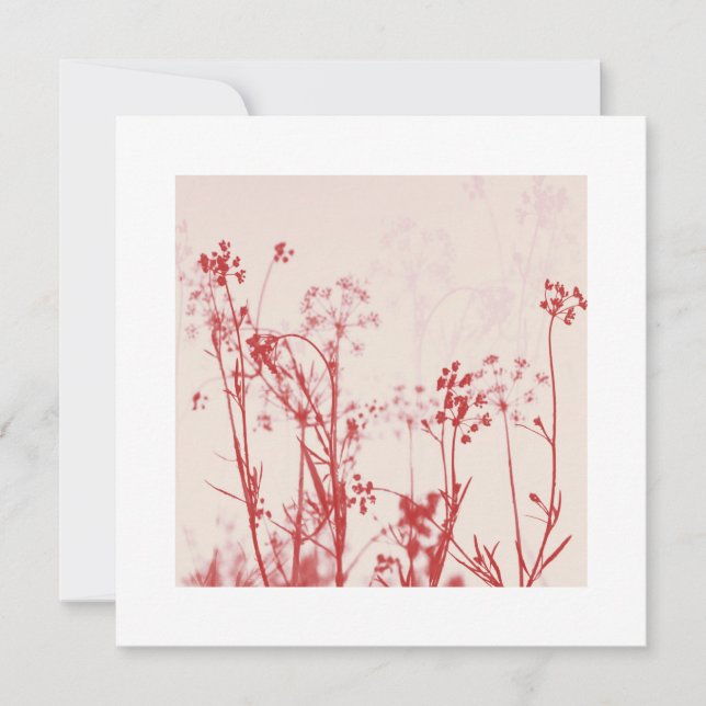 Elegante Coral red Floral Best Wünsche für Hochzei (Vorderseite)
