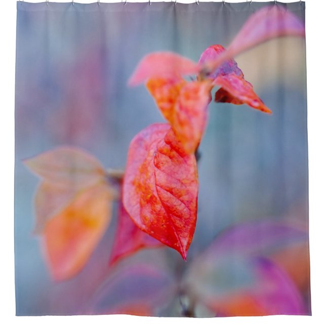 Elegante Cotonou-Oaster-Blätter Duschvorhang (Vorderseite)