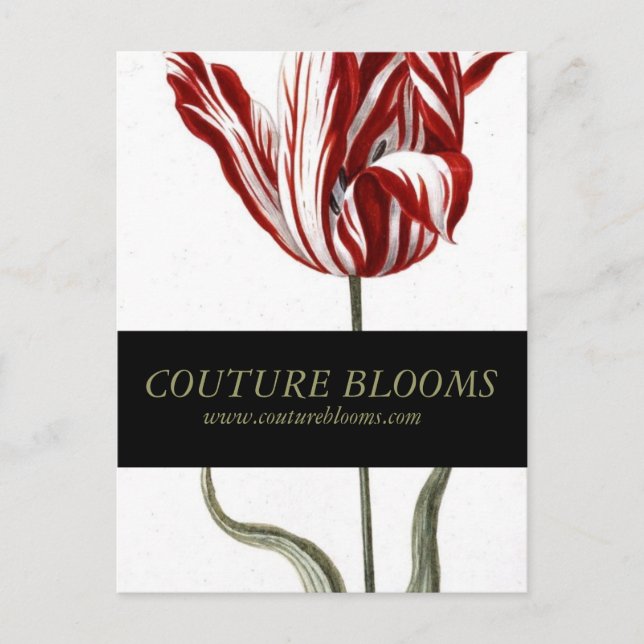 Elegante Couture Business Eröffnungskarte Einladungspostkarte (Vorderseite)