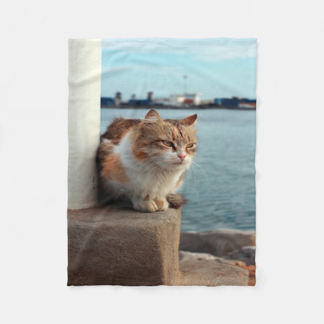 Élégante couverture de la flotte de chats de plage (Devant)