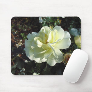 Elegante cremige weiße Rosen-Blumenfotografie Mousepad