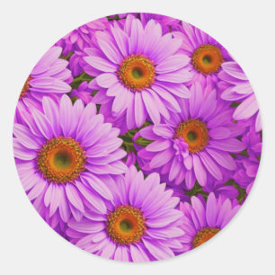 Elegante dunkelrosa Magenta Runder Aufkleber