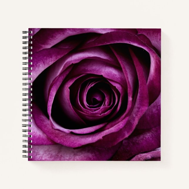 Elegante dunkelviolette Rose Notizbuch (Vorderseite)