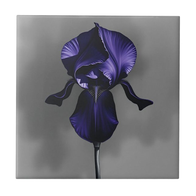 Elegante dunkle Iris mit rauschiger Grau Fliese (Vorderseite)