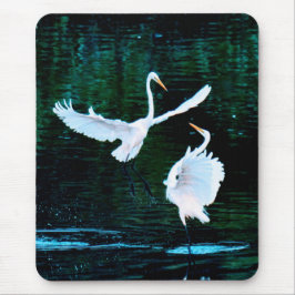 Elegante Egrets im Tanz Mousepad