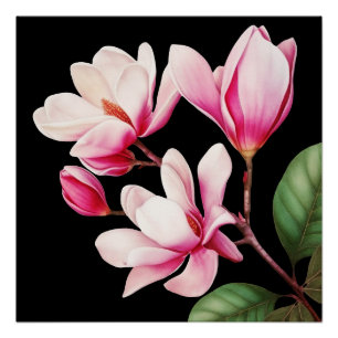 Elegante einfache rosa Blumen-Blumenkunst Poster