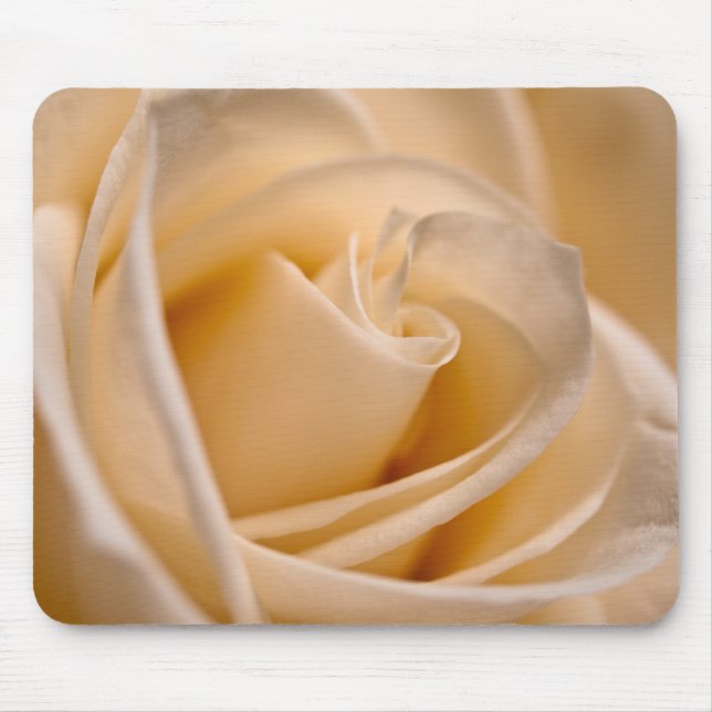 Elegante Elfenbein-Rose Mousepad (Vorne)