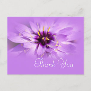 Elégante fleur marguerite violette merci carte pos