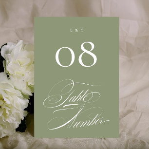 Elegante formelle Darstellung auf der White Callig Tischnummer