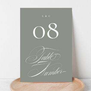 Elegante formelle Darstellung auf der White Callig Tischnummer