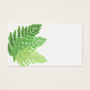 Élégante fougères vertes feuilles de bois