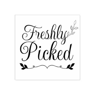 Elegante, frisch gepickte Typografie - Frische Her Gummistempel