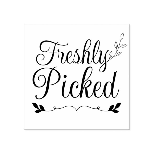 Elegante, frisch gepickte Typografie - Frische Her Gummistempel (Prägung)