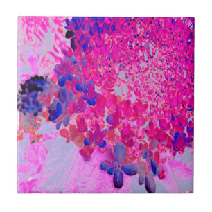 Elegante Fuchsia und dunkelblaue Limelight Hydrang Fliese
