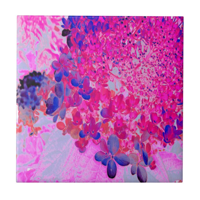 Elegante Fuchsia und dunkelblaue Limelight Hydrang Fliese (Vorderseite)