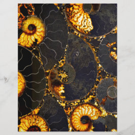 Elegante Golden Black Nautilus Muschel