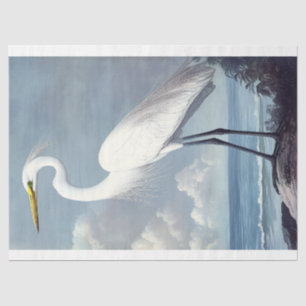 Elegante Große Silberreiher-Aquarell-Decoupage-Vog Seidenpapier