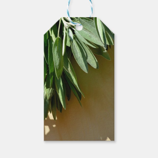 Elegante grüne botanische Blätter Frischfrische Kr Geschenkanhänger (Vorderseite)
