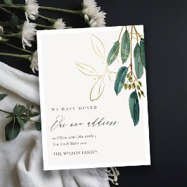 Elegante grüne Eukalyptus-Zweigstelle, die wir übe Postkarte