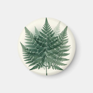 Elegante grüne Farnwedel Botanisch Magnet