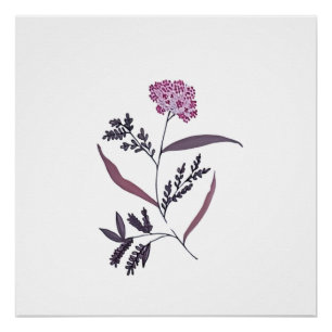 Elegante handGezeichnet Blumenkunst - Weich botani Poster