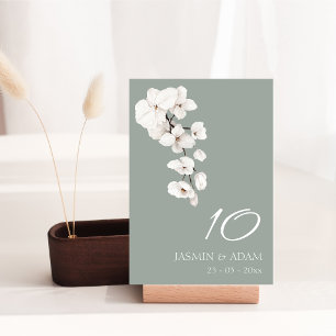 Elegante Hellgrün Weiße Orchideen Hochzeit Tischnu Tischnummer
