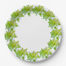 Elegante hellgrüne Blume mit Blumen