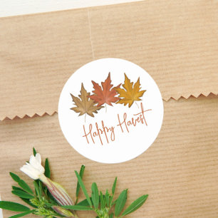 Elegante Herbst-Botanik-Blätter Herbstlaub Runder Aufkleber