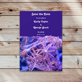 Elegante Hochzeit der Korallenriffe an der Seeküst Save The Date