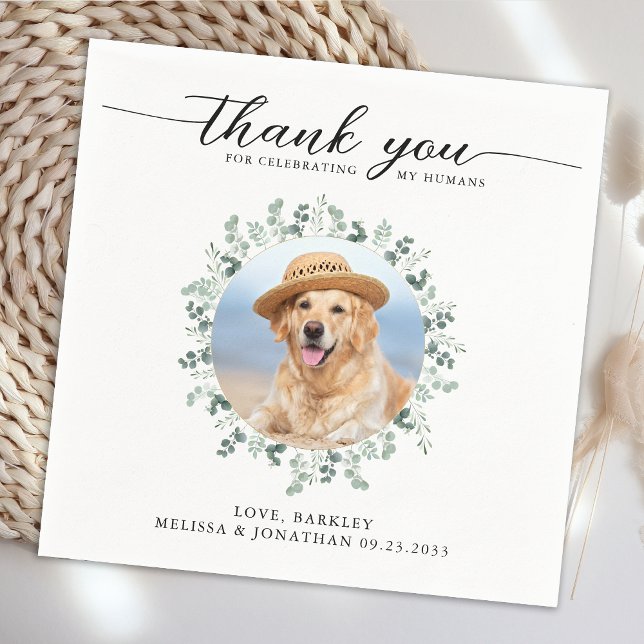Elegante Hochzeit Modernes Foto Dog Haustier Viele Serviette (Von Creator hochgeladen)