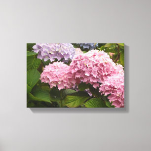 Elegante Hortensien Leinwanddruck