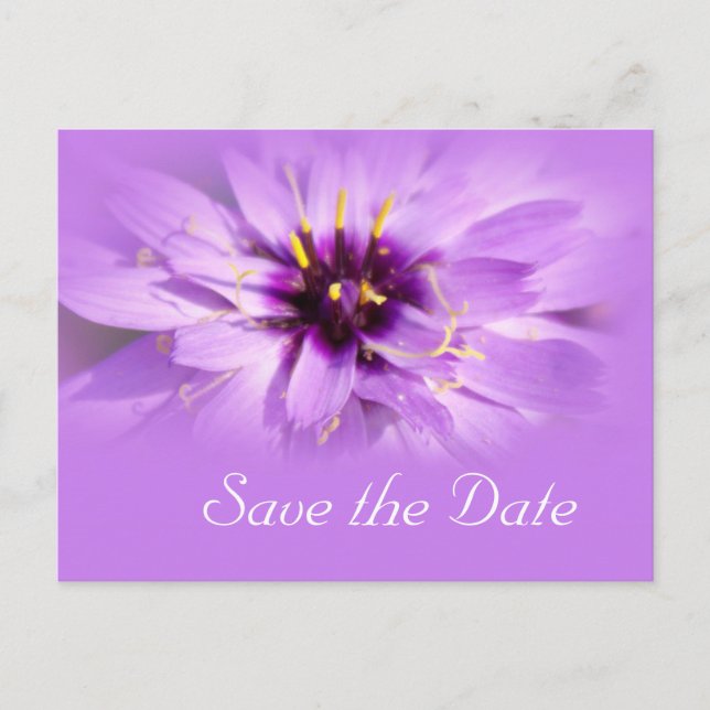 Elegante, hübsche lila Blume Save the Date Ankündigungspostkarte (Vorderseite)