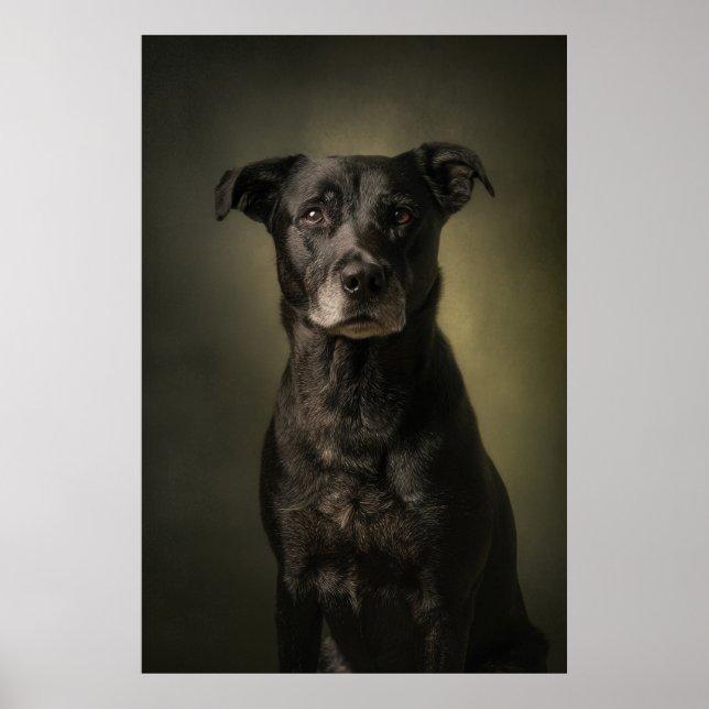 Elegante Hund-Silhouette Poster (Vorne)