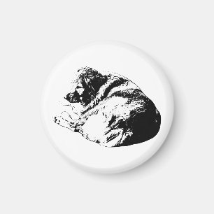 Elegante Hunde-Accessoires sorgen für eine ruhige  Magnet