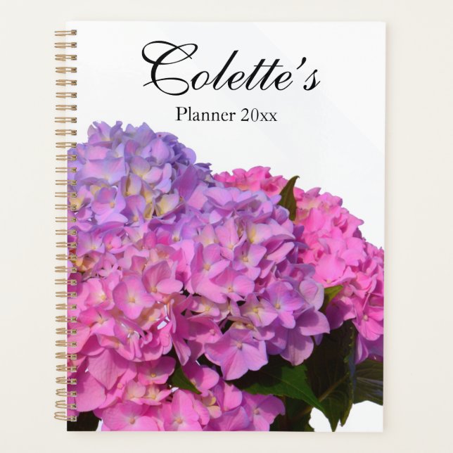 Élégante Hydrangée rose bleu rose violet pour elle (Devant)