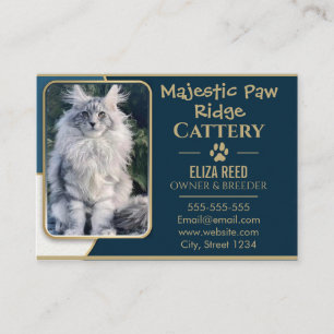 Elegante individuelle Maine-Coon-Katzenzucht Visit Visitenkarte
