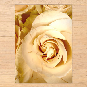Élégante invitation en acrylique macro rose Champa
